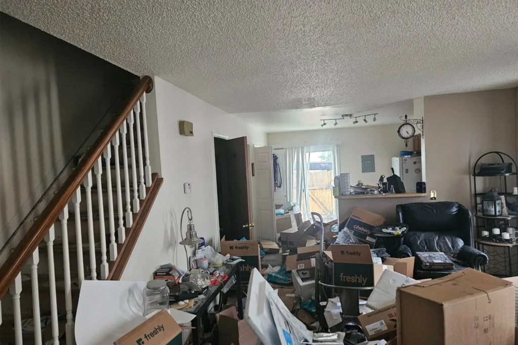 Vail Pass Living Room Before